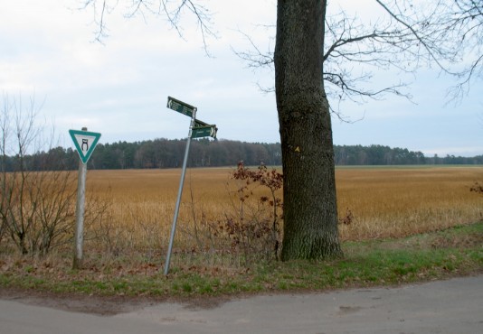 Jakobsweg bei Kirchgellersen/Foto: G. Wolfstieg